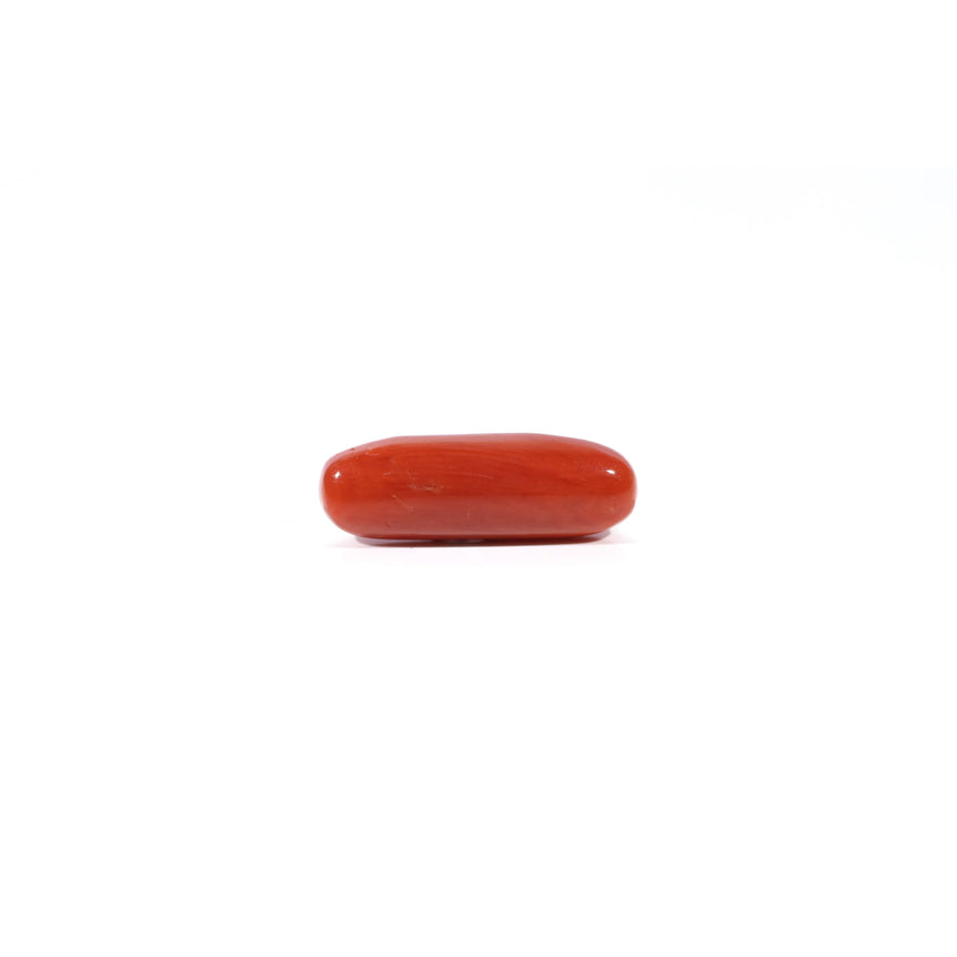 Red Coral - Moonga - 3.95 Carat - Pramogh