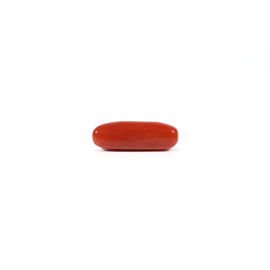 Red Coral - 3.95 Carat