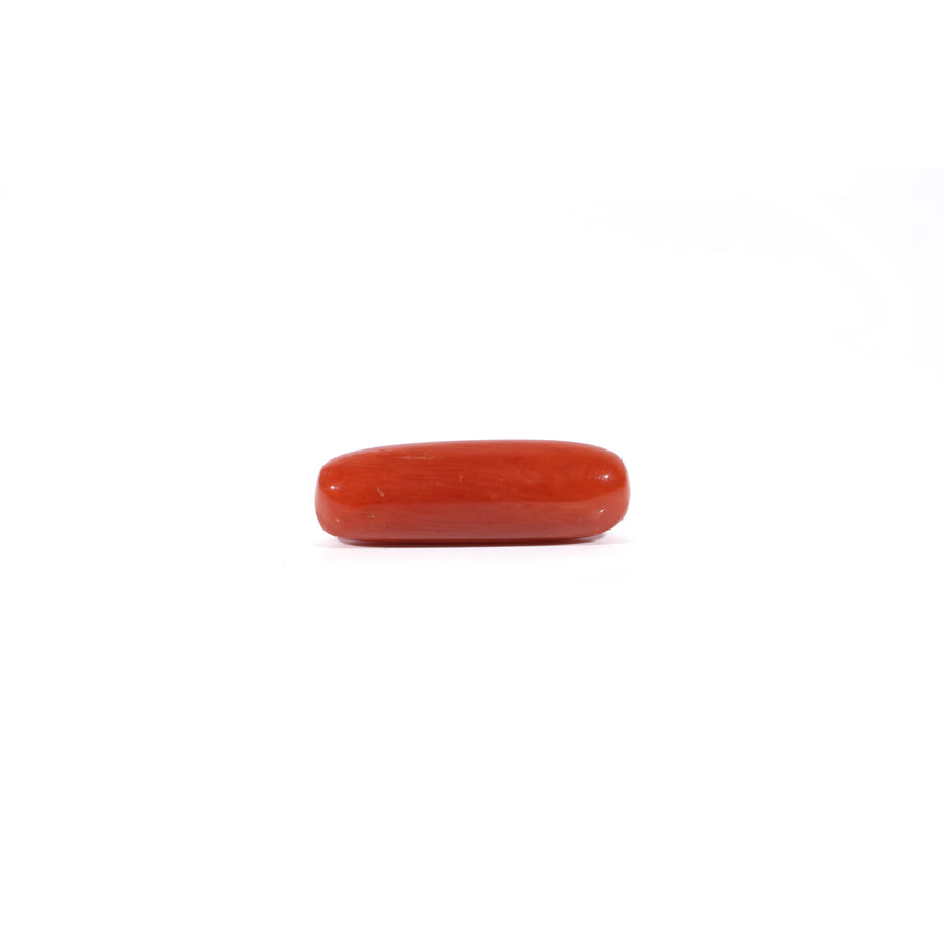 Red Coral - 3.95 Carat