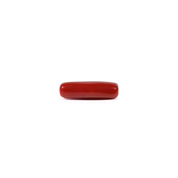 Red Coral - Moonga - 4.5 Carat - Pramogh