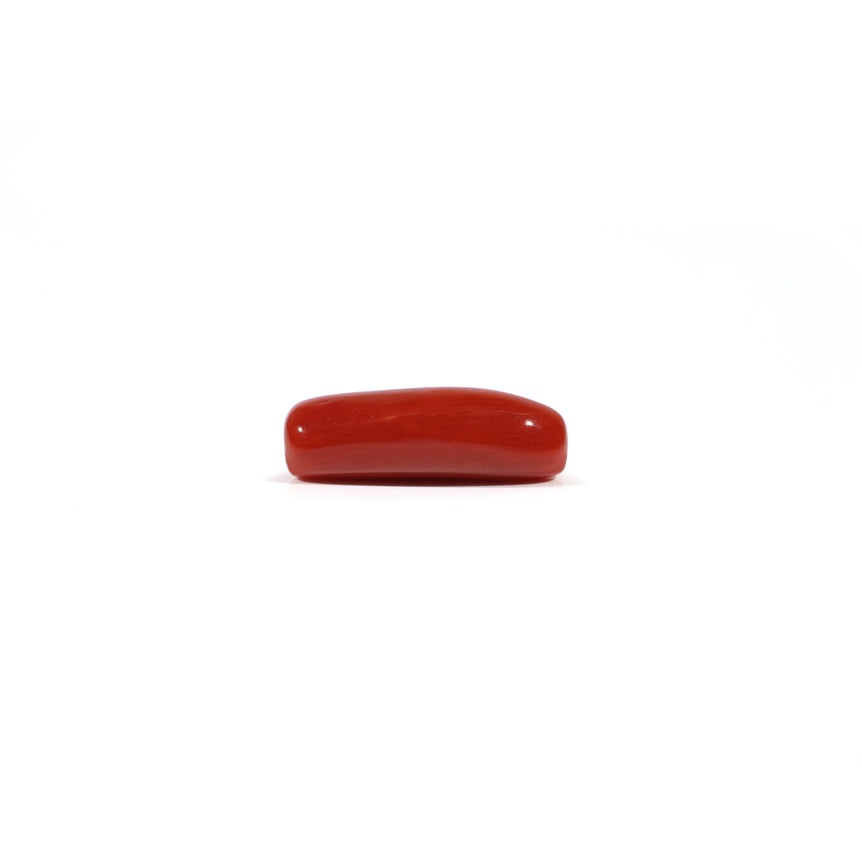 Red Coral - 4.2 Carat