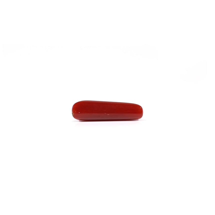 Red Coral - 3.45 Carat