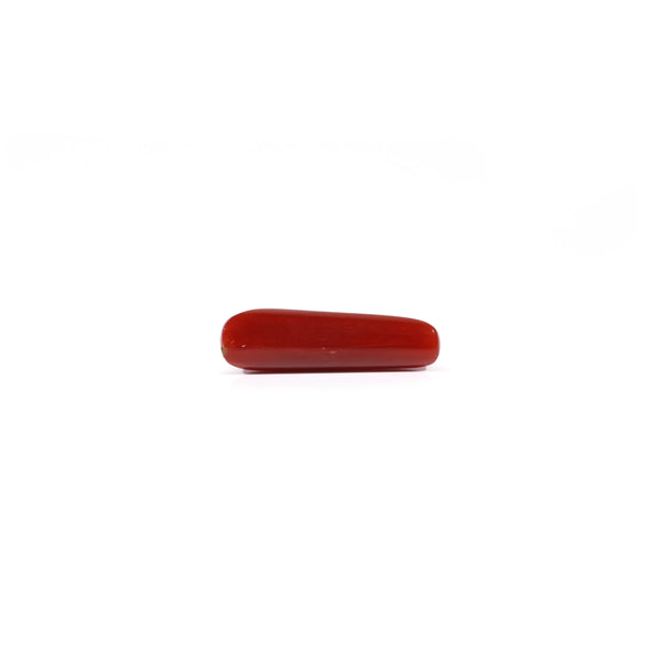 Red Coral - 3.45 Carat