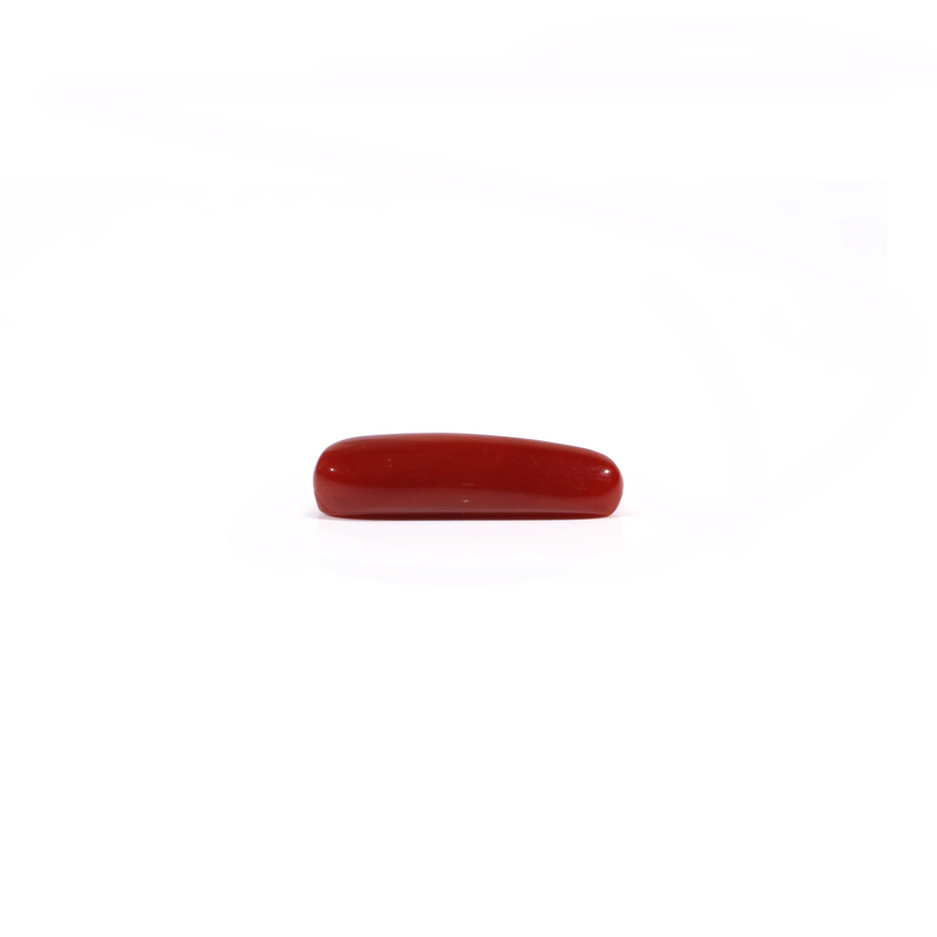 Red Coral - 3.45 Carat