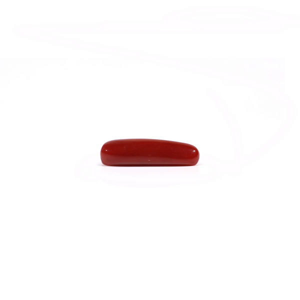 Red Coral - 3.45 Carat