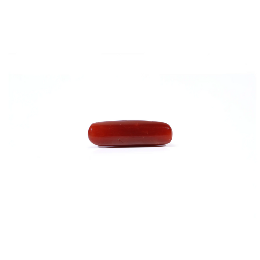 Red Coral - 4.3 Carat