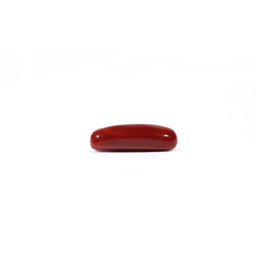 Red Coral - 4.3 Carat