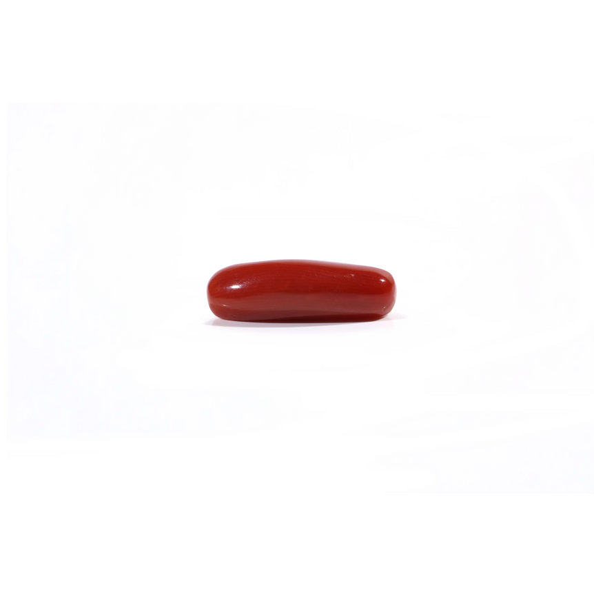Red Coral - Moonga - 3.88 Carat - Pramogh