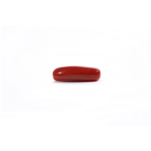 Red Coral - Moonga - 3.88 Carat - Pramogh