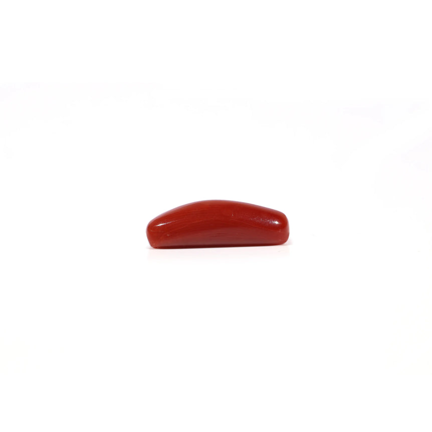 Red Coral - 3.88 Carat