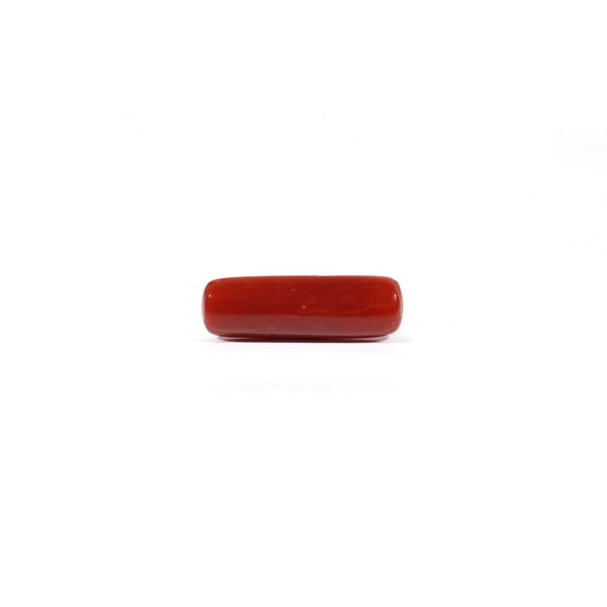 Red Coral - 4.3 Carat