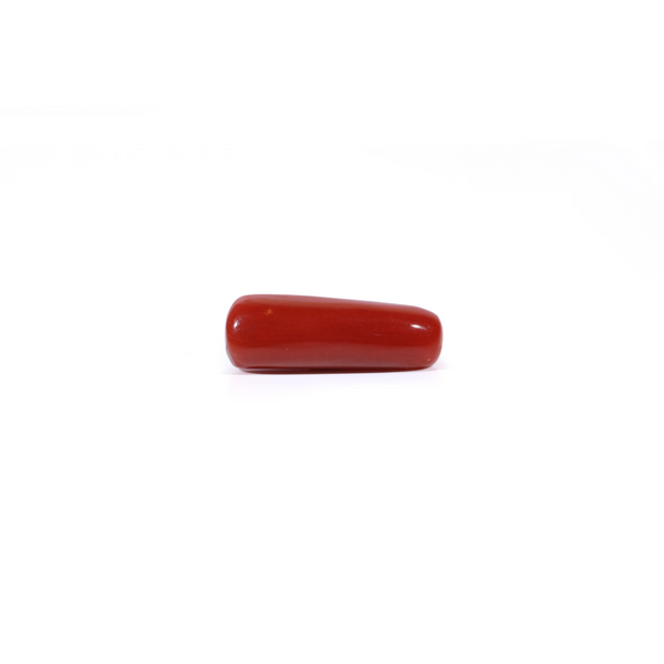 Red Coral - Moonga - 3.85 Carat - Pramogh