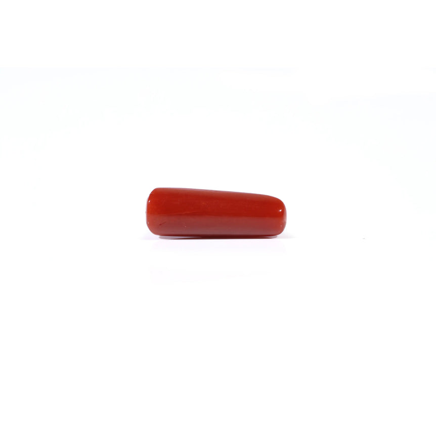 Red Coral - 3.85 Carat