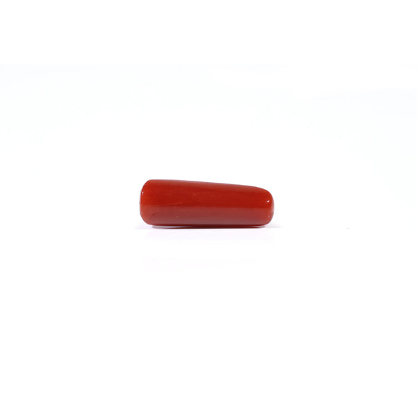Red Coral - 3.85 Carat