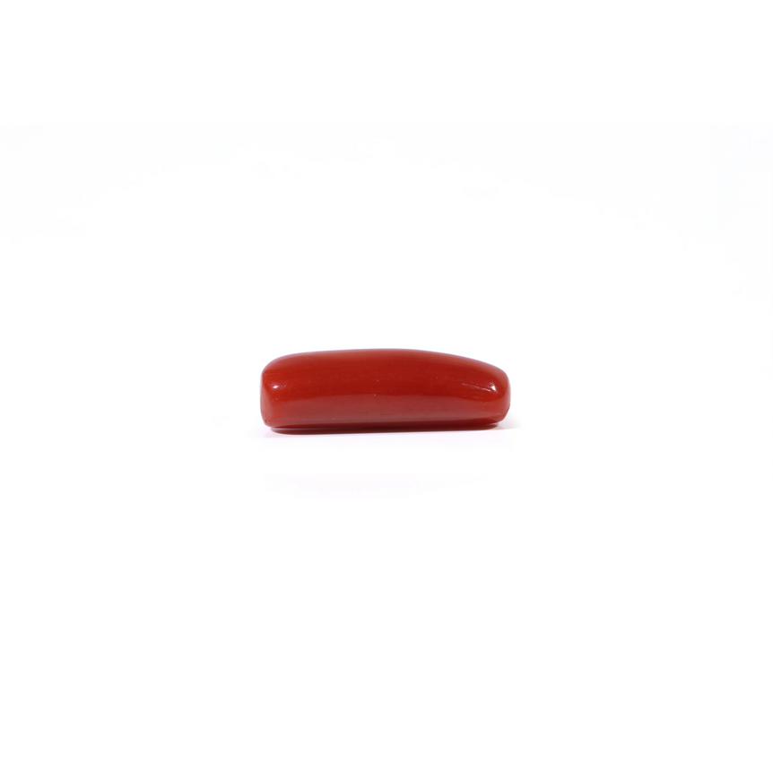 Red Coral - 3.85 Carat