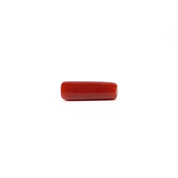 Red Coral - 4.2 Carat