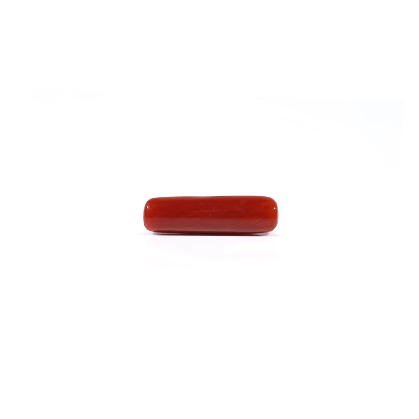 Red Coral - 4.22 Carat