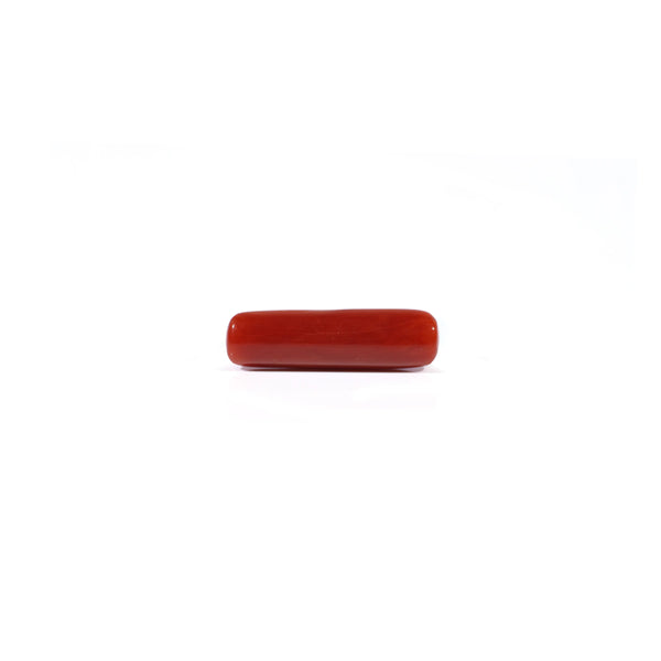 Red Coral - 4.22 Carat