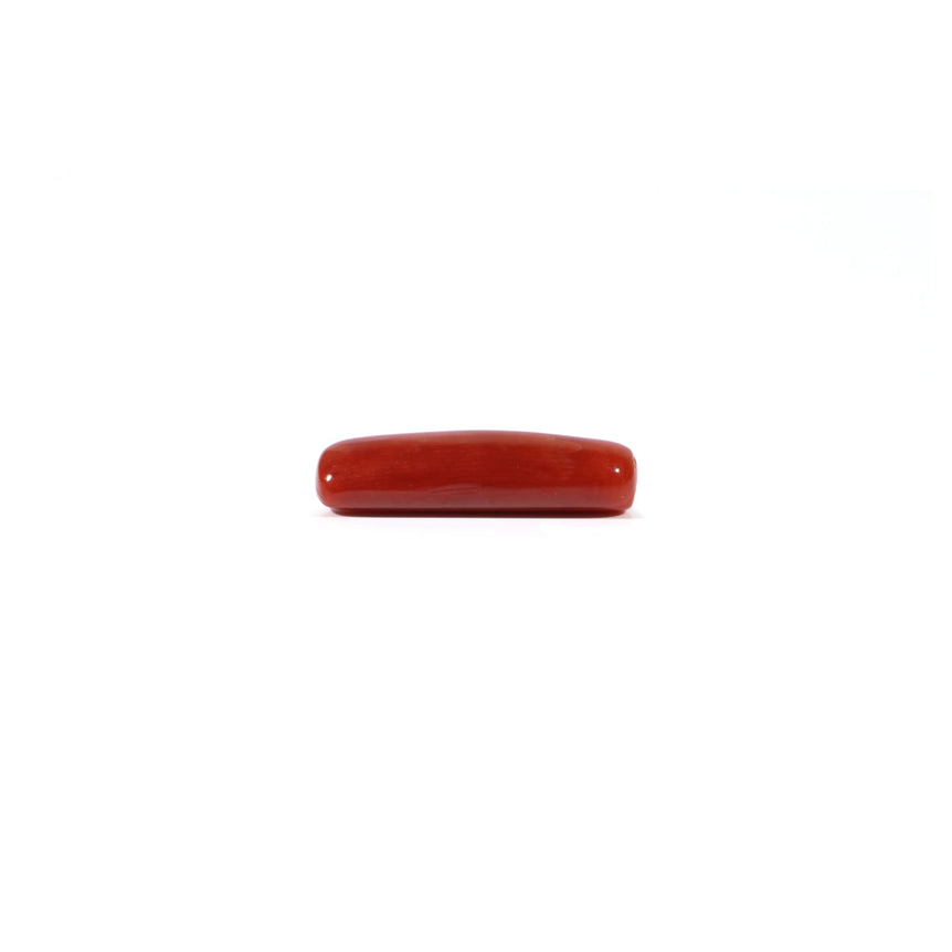Red Coral - 4.22 Carat