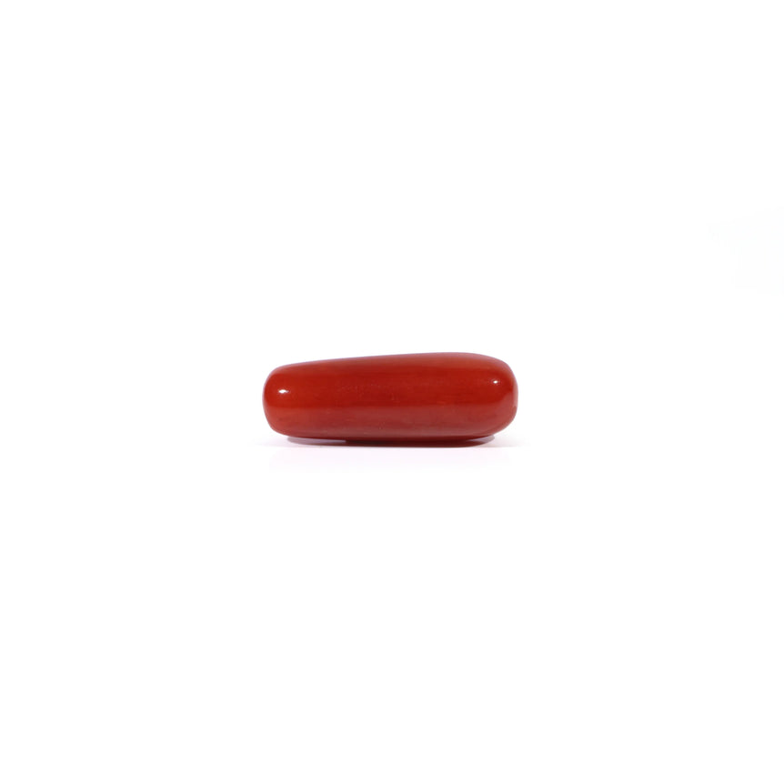 Red Coral - Moonga - 4.22 Carat - Pramogh