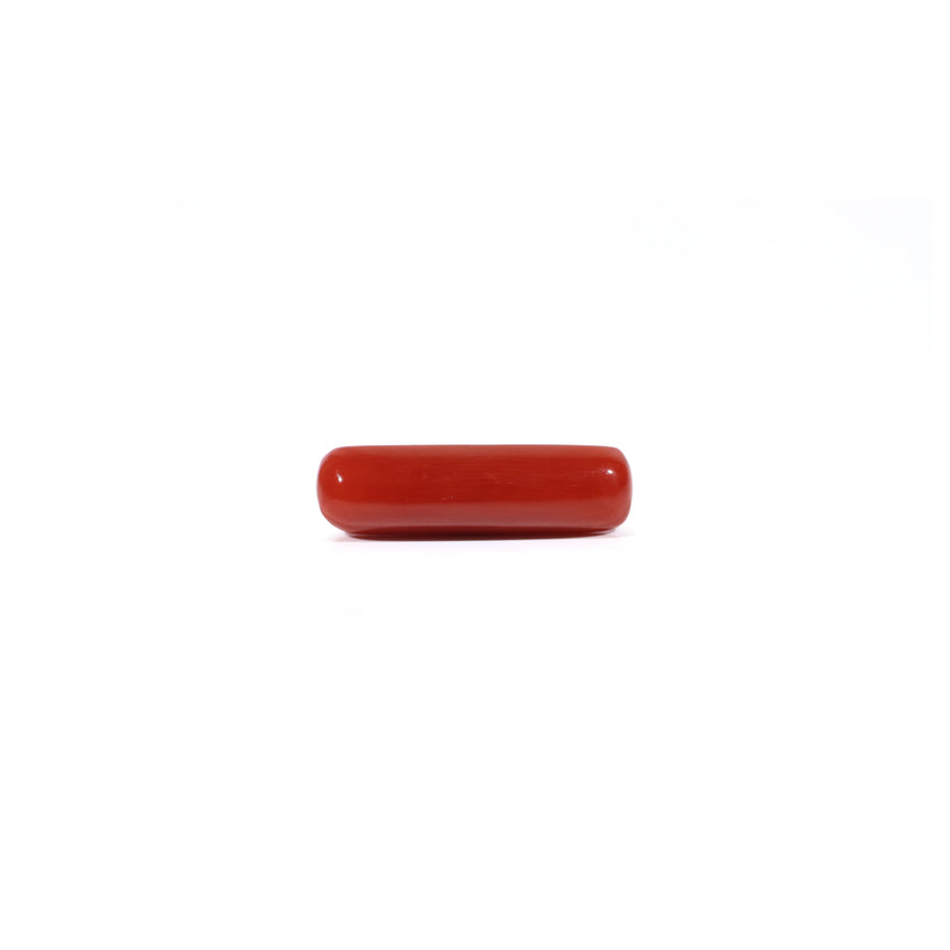 Red Coral - Moonga - 4.2 Carat - Pramogh