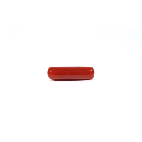 Red Coral - Moonga - 4.2 Carat - Pramogh