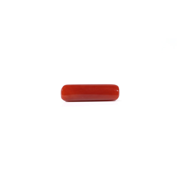 Red Coral - 4.2 Carat