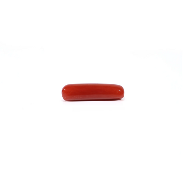 Red Coral - 4.2 Carat