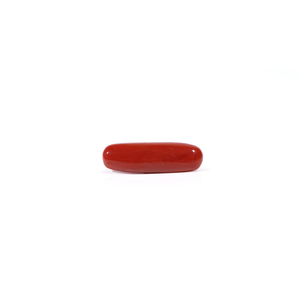 Red Coral - Moonga - 3.85 Carat - Pramogh