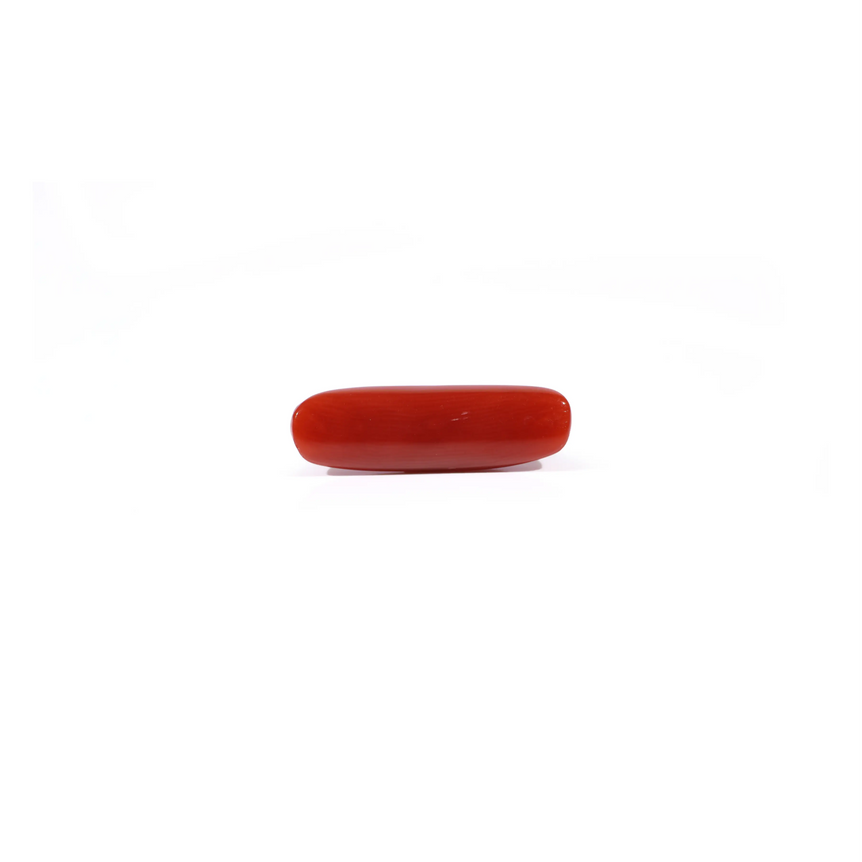 Red Coral - 3.85 Carat
