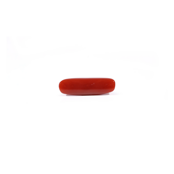 Red Coral - 3.85 Carat