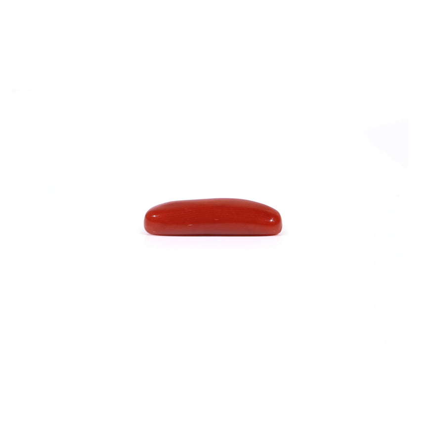 Red Coral - 3.85 Carat