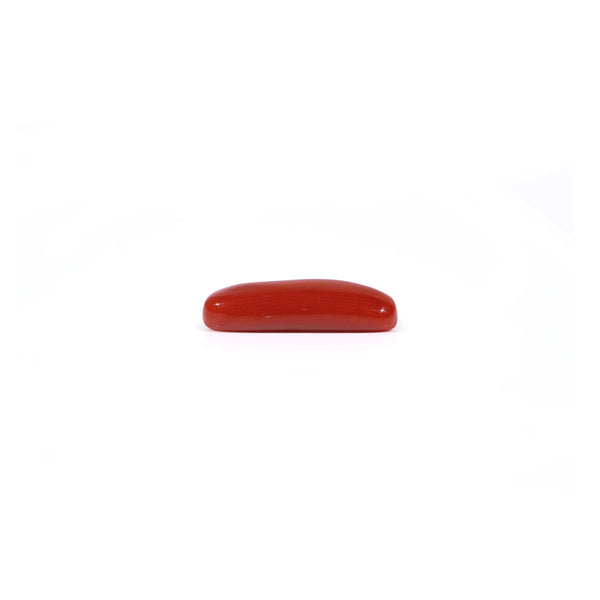 Red Coral - 3.85 Carat