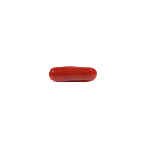 Red Coral - Moonga - 3.44 Carat - Pramogh