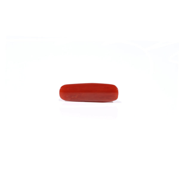 Red Coral - 3.44 Carat