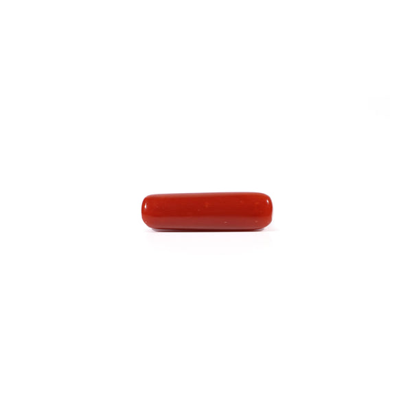 Red Coral - 4.5 Carat