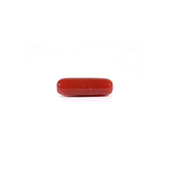 Red Coral - Moonga - 4.03 Carat - Pramogh