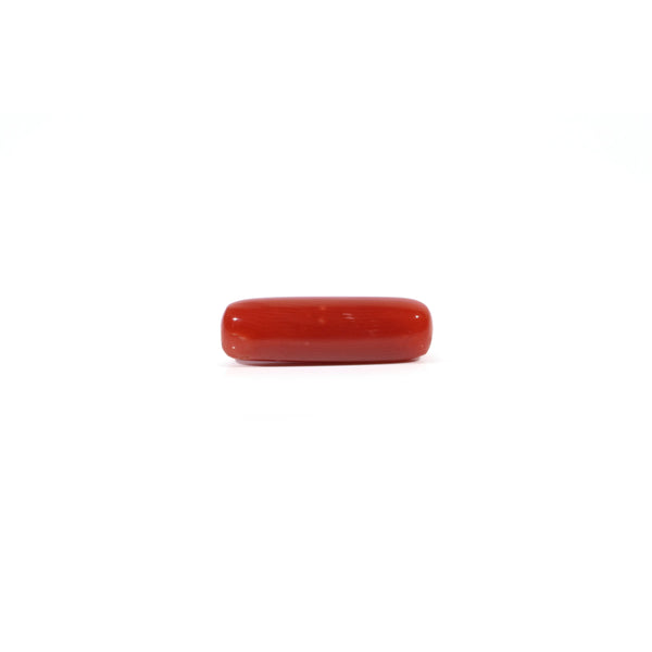 Red Coral - 4.03 Carat