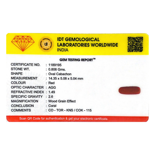 Red Coral - 4.03 Carat