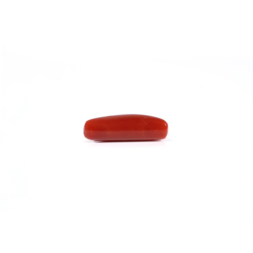 Red Coral - 4.25 Carat