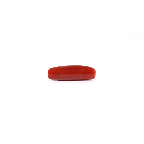 Red Coral - 4.25 Carat
