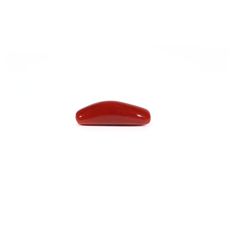 Red Coral - 4.25 Carat