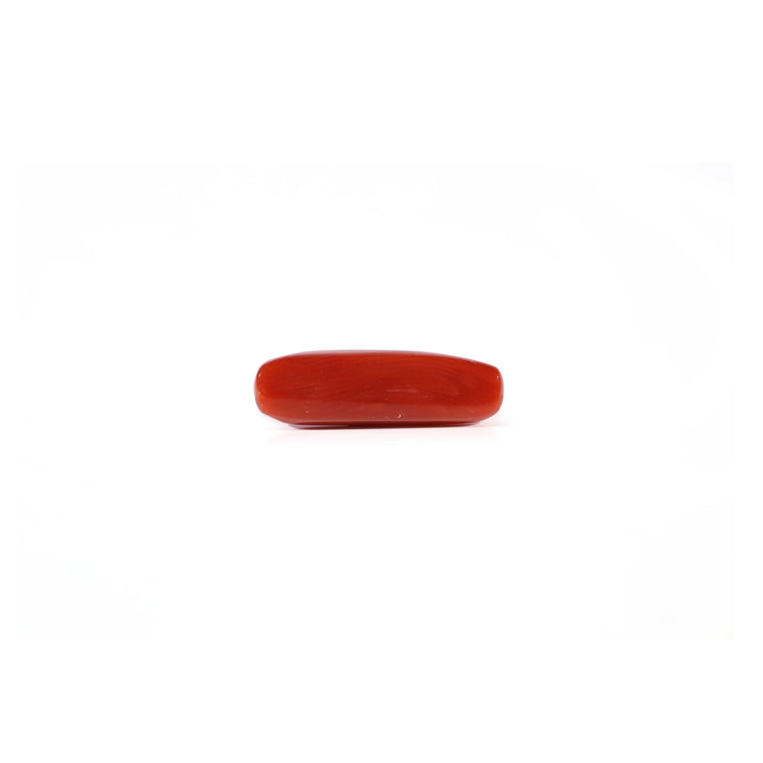 Red Coral - 4.5 Carat