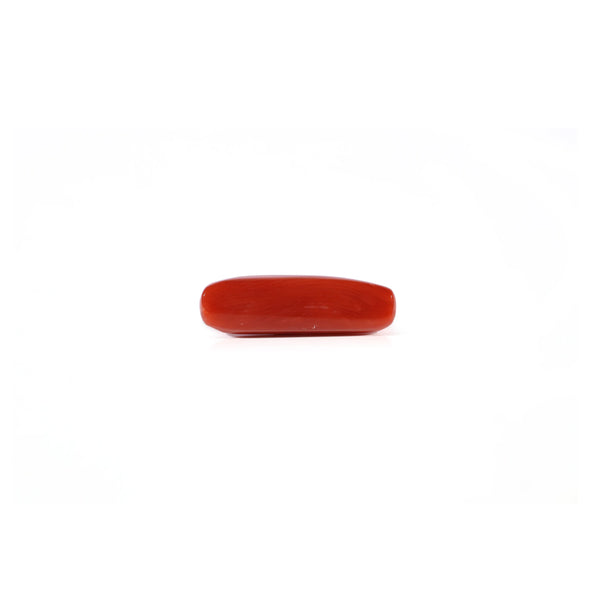 Red Coral - 4.5 Carat