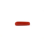 Red Coral - 4.5 Carat