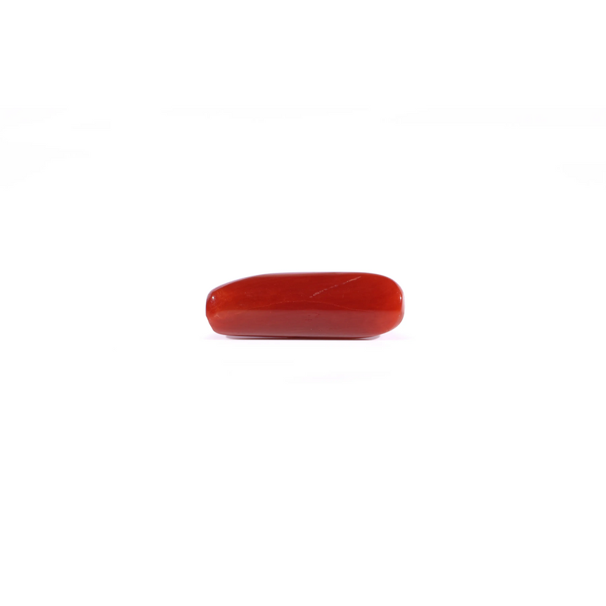 Red Coral - 3.85 Carat