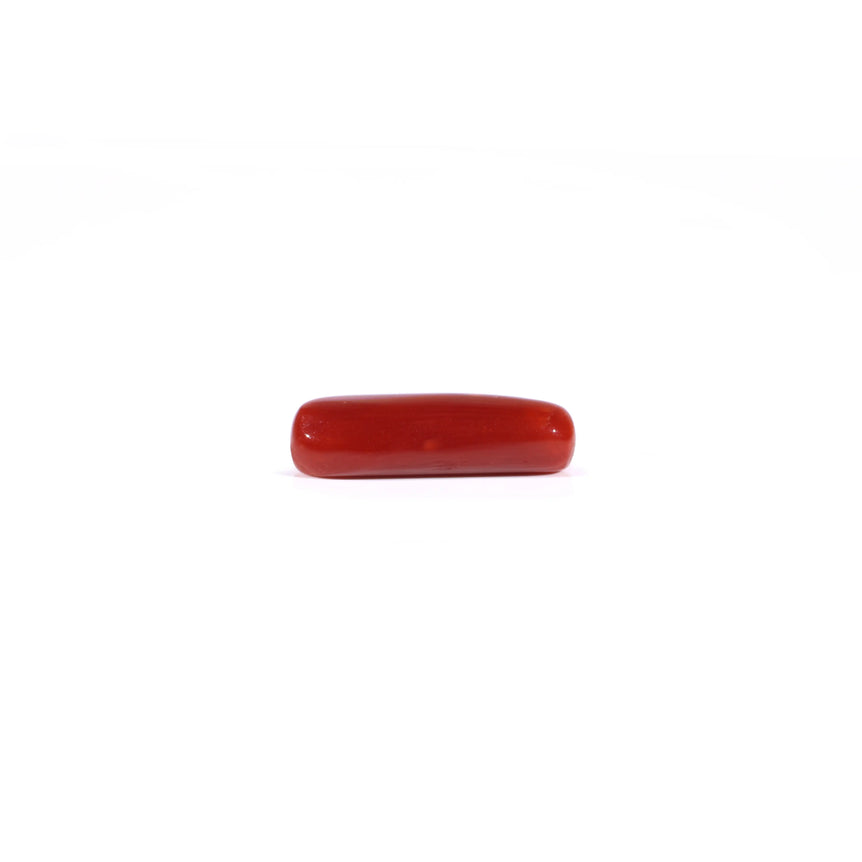 Red Coral - 3.85 Carat