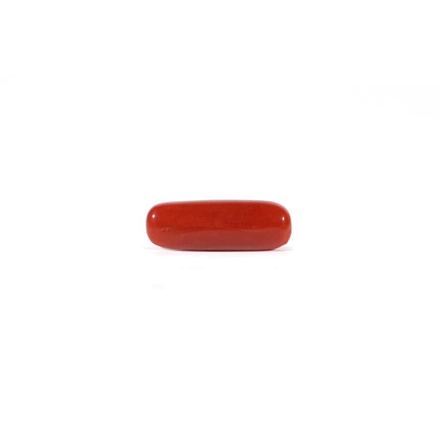 Red Coral - Moonga - 3.9 Carat - Pramogh