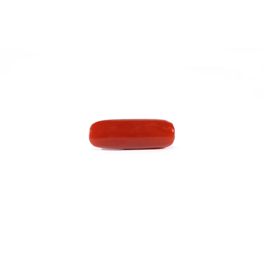 Red Coral - 3.9 Carat