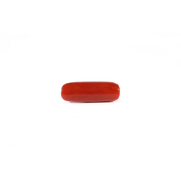 Red Coral - 3.9 Carat